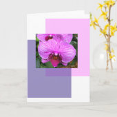 Purple Flowers Groeten Kaart (Gele Bloem)