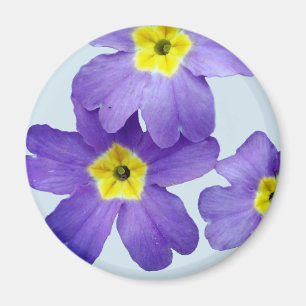 Purple Flowers Photo Magnet Magneet