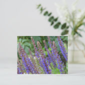 Purple flowers postcard briefkaart (Staand voorkant)