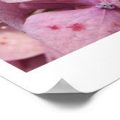 Purple Flowers Poster (Hoek)