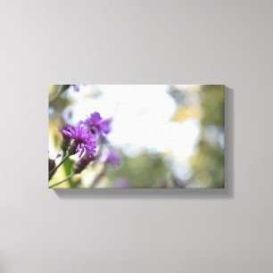 Purple Flowers Summer Natuur Fotografie Floral Canvas Afdruk