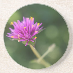 Purple Flowers Summer Natuur Fotografie Floral Zandsteen Onderzetter