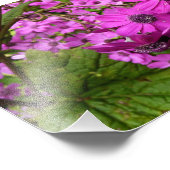 Purple Flowers uit San Francisco Foto Afdruk (Hoek)