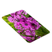 Purple Flowers uit San Francisco Magneet (Rechterzijde)