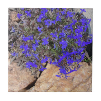 Purple Flowers van de Rocks Tile Tegeltje