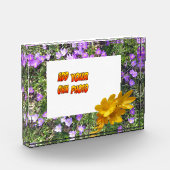 Purple Flowers Yellow Crocuses Cust. Fotoblok (Links)