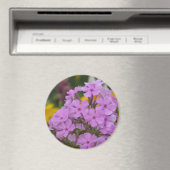 Purple Garden Phlox 3" Magnet rond (In Situ (Lave-vaisselle))