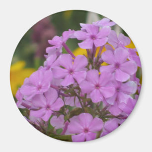 Purple Garden Phlox 3" Magnet rond