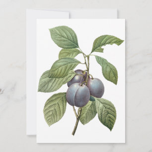 Purple Garden Plums par Redoute Invitation