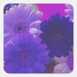 Purple Gerbera Daisy Flowers Art autocollants