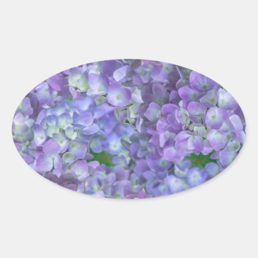 Purple hydrangea flowers ovale sticker (Voorkant)