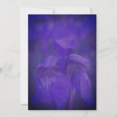 Purple Iris Flower Bridal Shower  Kaart (Achterkant)