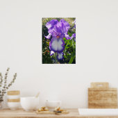 Purple Iris Irises Cottage Garden Art Poster Plant (Cuisine)