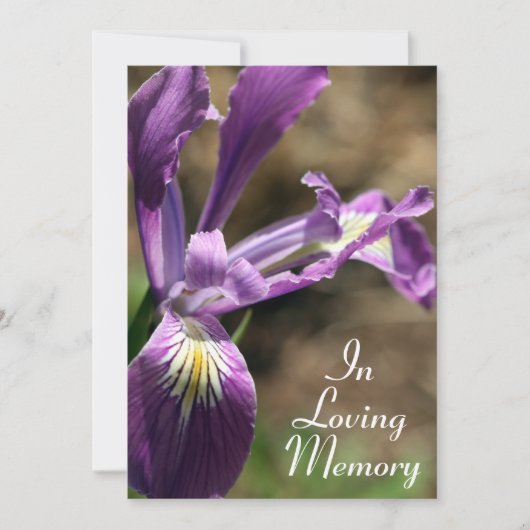 Purple Iris Memorial Service Faire-part (Devant)