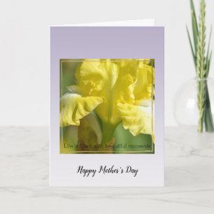 Purple Lavender Flowers Belle Moments Carte