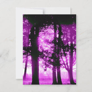 Purple Light with Silhouette Trees  Briefkaart
