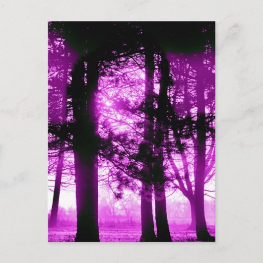 Purple Light with Silhouette Trees Briefkaart (Voorkant)