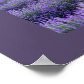 Purple Modern Typography Grad  Three Photos Poster (Hoek)