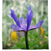 Purple N Gold Iris II rideau de douche (Devant)