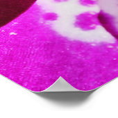 Purple Orchid Poster (Hoek)