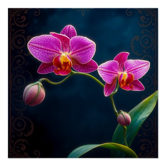 purple orchids perfect poster (Voorkant)