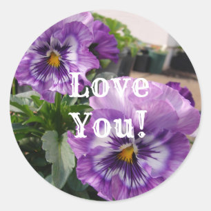 Purple Pansy Photo fleurs florale Love Sticker Set