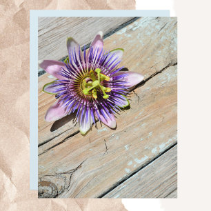 Purple Passiflora Fleur Patiné papier rustique