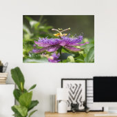 Purple Passion Flower Nature Poster (Bureau à domicile)