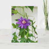 Purple Passion Flower - Portrait - Carte de voeux (Devant)