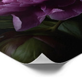 Purple Peony Flowers Art Imprimer Poster (Coin)