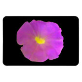 Purple Petunia Premium Magnet (Horizontal)