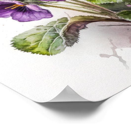 Purple Primrose Fleurs Art Imprimer Poster (Coin)