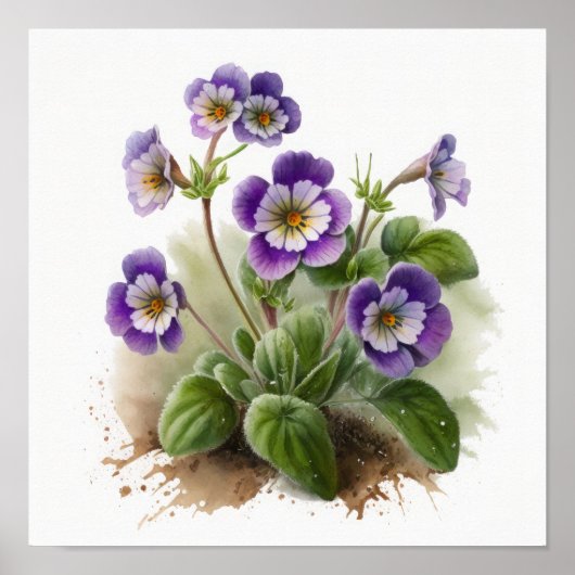 Purple Primrose Fleurs Art Imprimer Poster (Devant)