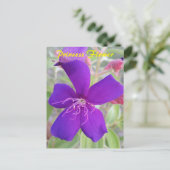 Purple Princess Flower - carte postale (Debout devant)
