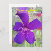 Purple Princess Flower - carte postale (Devant / Derrière)