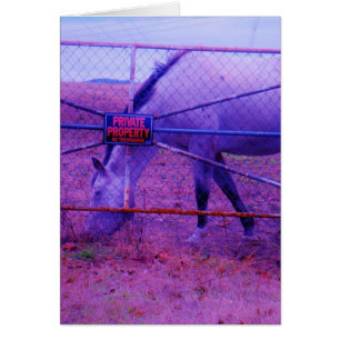 Purple Propriété Privée Horse