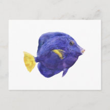Purple Tang Fish Watercolor Illustration