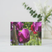 Purple Tulips 2007 Briefkaart (Staand voorkant)