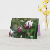 Purple Tulips Carte de jour de maman (Fleur jaune)
