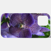Purple Vanda iPhone 13 Pro Max Coque (Verso (horizontal))