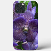 Purple Vanda iPhone 13 Pro Max Coque (Verso)