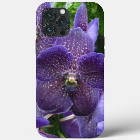 Purple Vanda iPhone 13 Pro Max Coque (Verso)