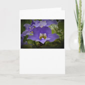 Purple & Vert, carte (Devant)