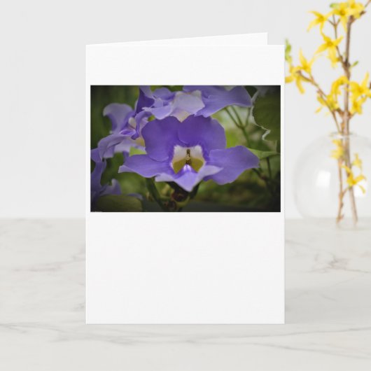 Purple & Vert, carte (Fleur jaune)