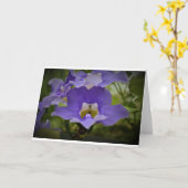Purple & Vert, carte (Fleur jaune)