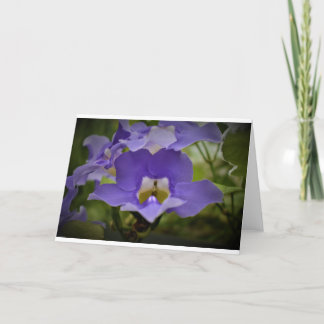 Purple & Vert, carte
