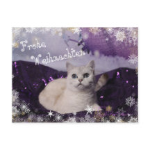 Purple XMAS Cats