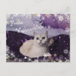 Purple XMAS Cats Feestdagenkaart