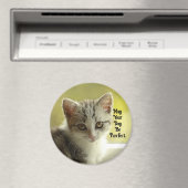 Purrfect Day Kitten Magnet (In Situ (Lave-vaisselle))