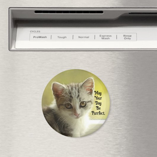 Purrfect Day Kitten Magnet (In Situ (Lave-vaisselle))